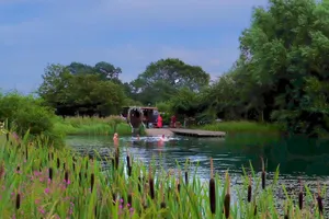 Four swimmers in the lake beside the jetty at dusk, the timber sauna hut with its flower arch behind them and reedmace in the foreground